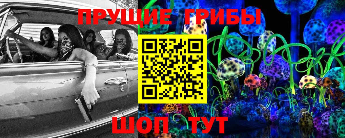 Псилоцибиновые грибы Cubensis Клинцы