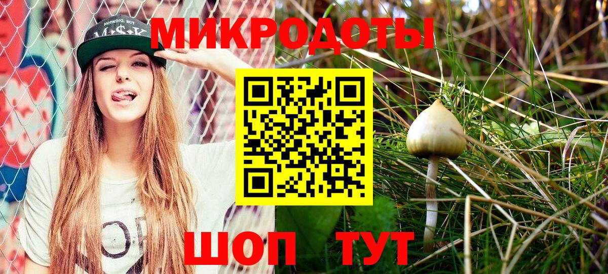 Галлюциногенные грибы Psilocybe  Вход с VPN  Клинцы 